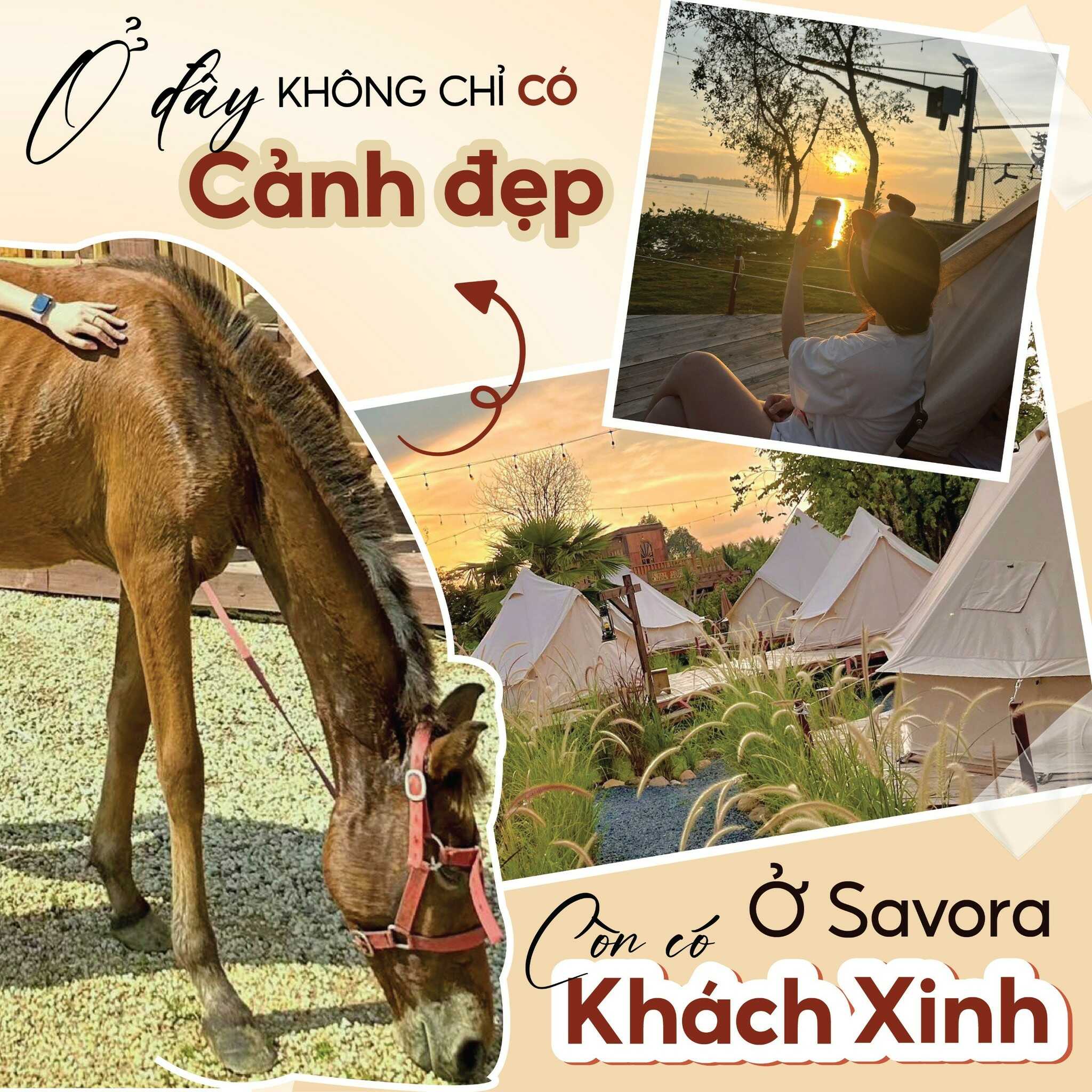 Savora Farm & Glamping 2N1Đ Giải Ngố Cuối Tuần